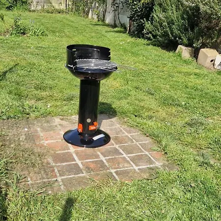 De Dedette * La Grise